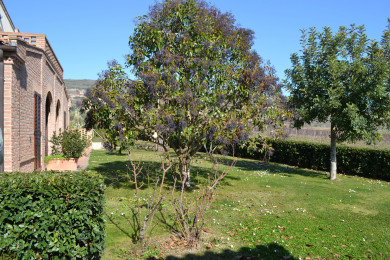 Il Giardino