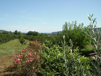 agritur-casavecchia-87 agritur-casavecchia-87