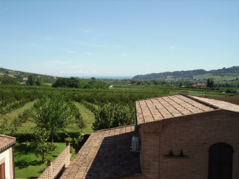 esterno