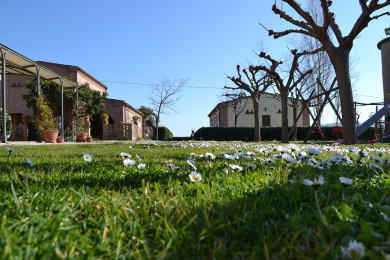 Il Giardino Il Giardino