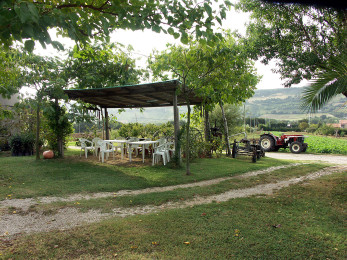 Il Giardino Il Giardino