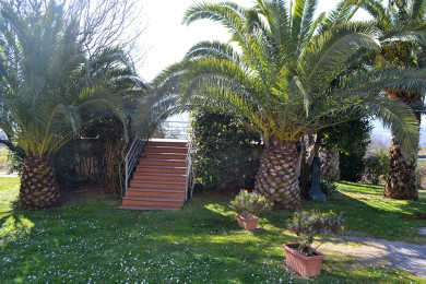 Solarium