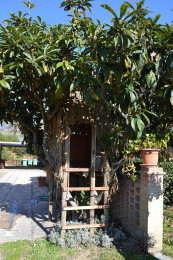 La Casa sull’Albero