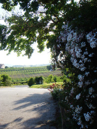 L’ingresso