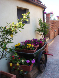 Il Giardino