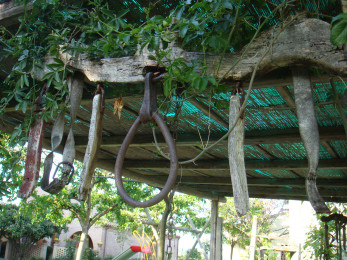 Il Giardino